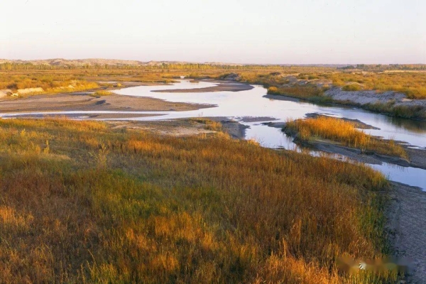 赤峰松山區(qū)賣肉的地方電話號碼-第1張圖片