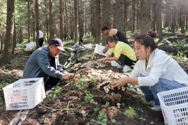 赤峰南山果樹基地電話多少號-第1張圖片