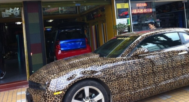 赤峰汽車燈膜廠家電話號(hào)碼-第1張圖片