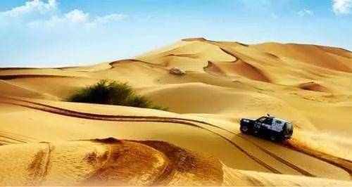 赤峰阿蘭賣車電話是多少號-第1張圖片