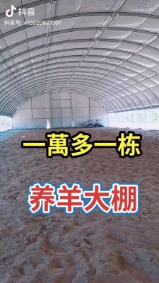 赤峰養(yǎng)殖大棚養(yǎng)羊基地電話號碼-第1張圖片