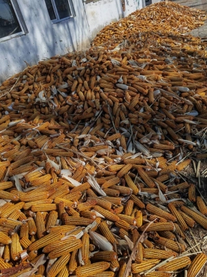 赤峰林西玩具廠地址電話號碼-第1張圖片