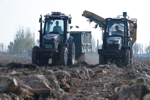 赤峰市套海鎮(zhèn)政府電話(huà)號(hào)碼-第1張圖片