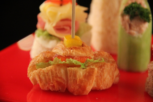 赤峰八爪魚團購地址電話號碼-第1張圖片