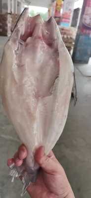 赤峰巴沙魚批發(fā)配送電話號碼-第1張圖片