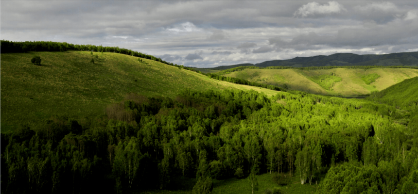 赤峰市木蘭康養(yǎng)中心電話號碼-第1張圖片