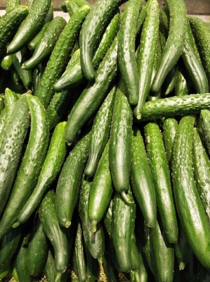 赤峰國營旱冰場地址電話號(hào)碼-第1張圖片