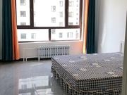 赤峰寵物店新城電話號(hào)碼多少-第1張圖片