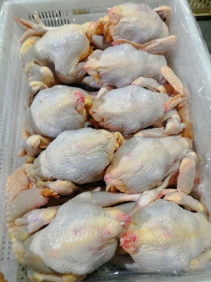 赤峰冰鮮雞加盟電話(huà)多少號(hào)-第1張圖片