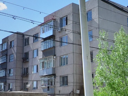 赤峰紅山區(qū)養(yǎng)犬管理電話號(hào)碼-第1張圖片