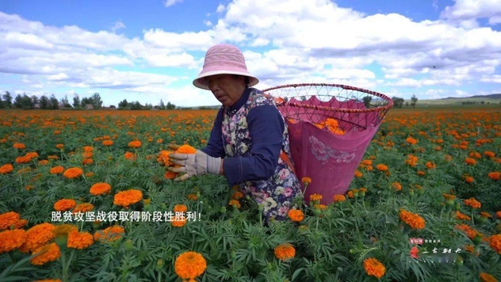 赤峰回收廢玻璃渣電話地址查詢-第1張圖片