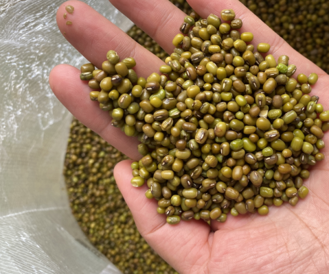 赤峰免洗凈菜廠家電話地址查詢-第1張圖片