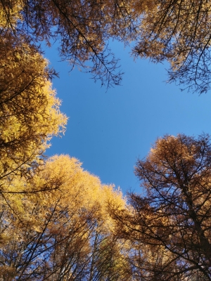 赤峰駐車營(yíng)地電話號(hào)碼查詢-第1張圖片