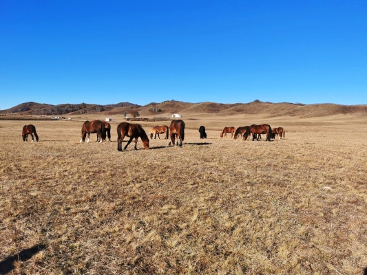 赤峰越野車協(xié)會官網(wǎng)電話號碼-第1張圖片