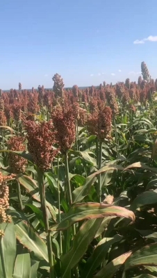 赤峰寧城縣廢品站電話號碼-第1張圖片