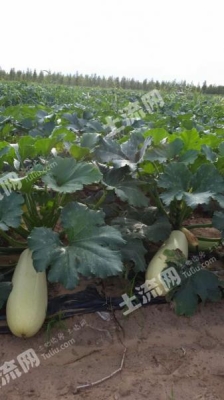 赤峰市敖漢旗住建局電話(huà)號(hào)碼-第1張圖片