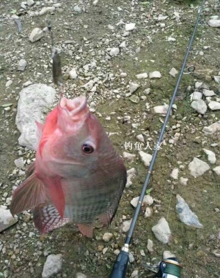 赤峰路亞釣場電話號碼查詢是多少-第1張圖片