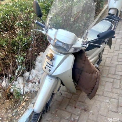 赤峰二手豪爵汽車電話號碼-第1張圖片