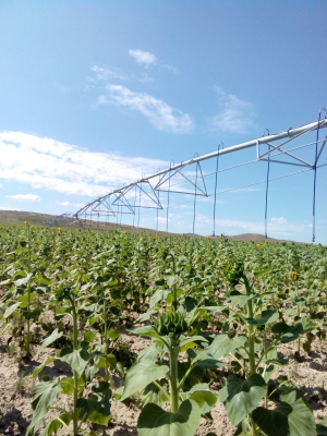 赤峰二手塑料罐轉(zhuǎn)讓電話號(hào)碼-第1張圖片