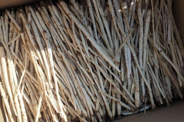 赤峰種沙參機(jī)器廠家電話號(hào)碼-第1張圖片