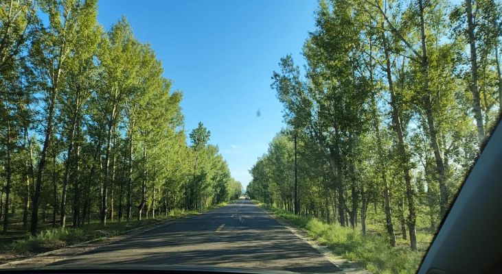 赤峰悅城租車(chē)平臺(tái)電話(huà)號(hào)碼-第1張圖片