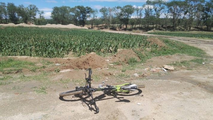 內(nèi)蒙古赤峰植保站電話號(hào)碼-第1張圖片