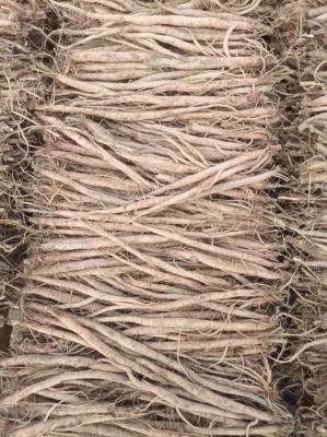 赤峰中藥材批發(fā)店電話號(hào)碼-第1張圖片