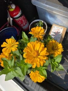 赤峰藝涵花卉店電話號碼查詢-第1張圖片