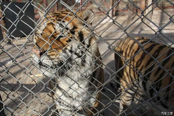 赤峰大橫道子社區(qū)電話(huà)號(hào)碼是多少-第1張圖片