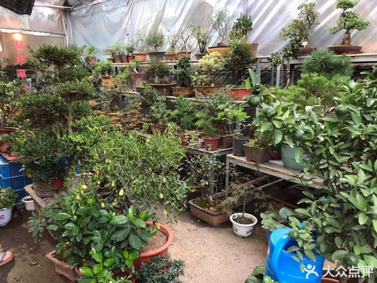 赤峰早稻米批發(fā)市場電話號碼-第1張圖片