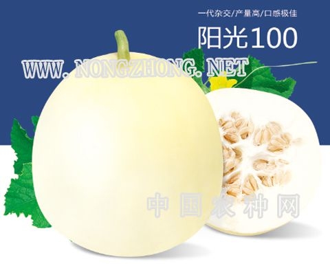 赤峰甜瓜代賣網(wǎng)電話號(hào)碼查詢-第1張圖片