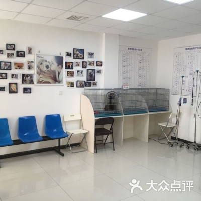 赤峰萬達寵物醫(yī)院電話號碼-第1張圖片