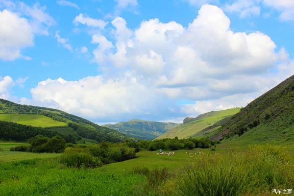 赤峰到克旗拼車(chē)電話-第1張圖片