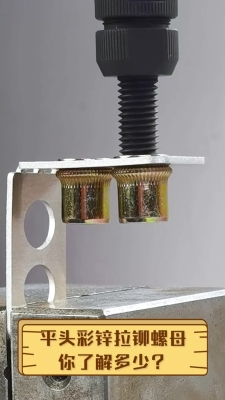 赤峰鍍鋅拉鉚螺母廠(chǎng)家電話(huà)號(hào)碼-第1張圖片