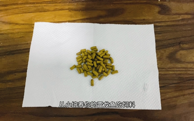 赤峰雷龍魚飼料專賣店電話號(hào)碼-第1張圖片