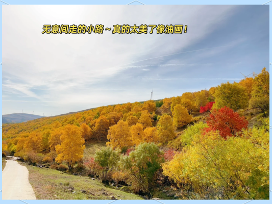 赤峰桐洋浴池電話多少號碼-第1張圖片