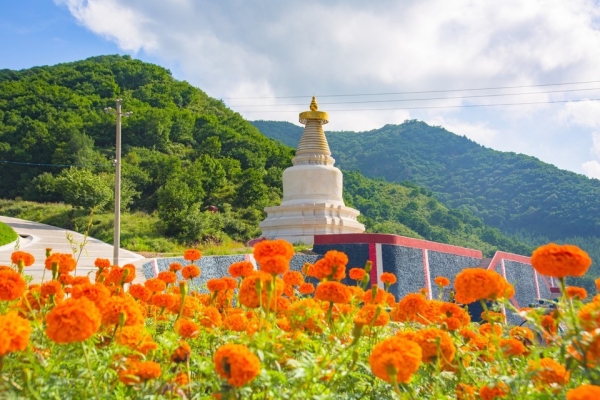 赤峰康寧寺藏藥店電話號碼查詢-第1張圖片