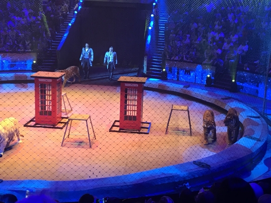 赤峰大馬戲團(tuán)電話地址查詢號(hào)碼-第1張圖片