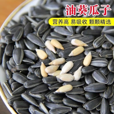 赤峰小黑瓜籽種植基地電話號碼-第1張圖片