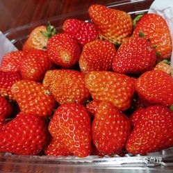 赤峰雞凍產(chǎn)品批發(fā)電話地址查詢-第1張圖片