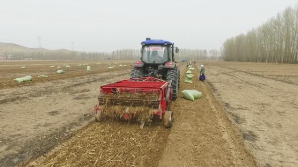 赤峰市板藍(lán)根出售電話號(hào)碼查詢-第1張圖片