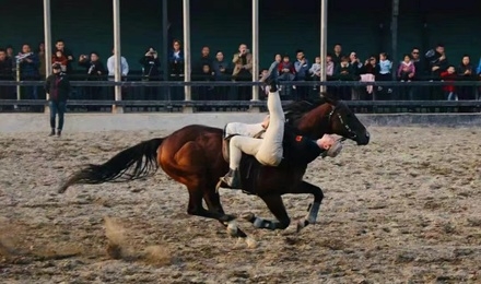 赤峰紅峰馬術館電話多少號-第1張圖片