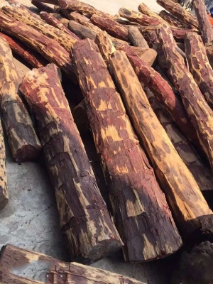 赤峰森源木材經(jīng)銷處電話號(hào)碼-第1張圖片