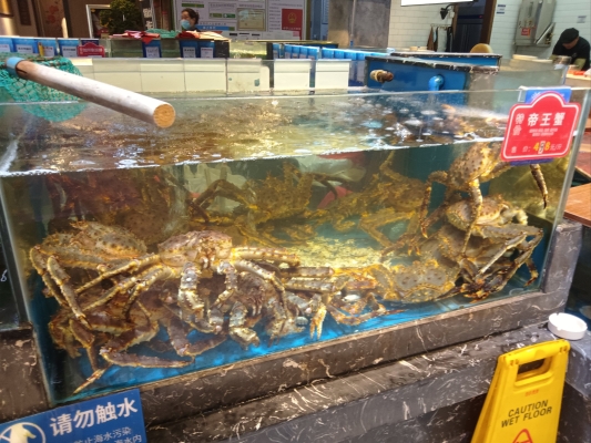 赤峰船歌魚水餃店電話多少號(hào)-第1張圖片