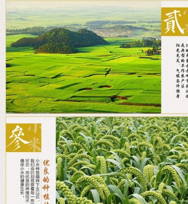 赤峰母液廠家電話號(hào)碼查詢是多少-第1張圖片