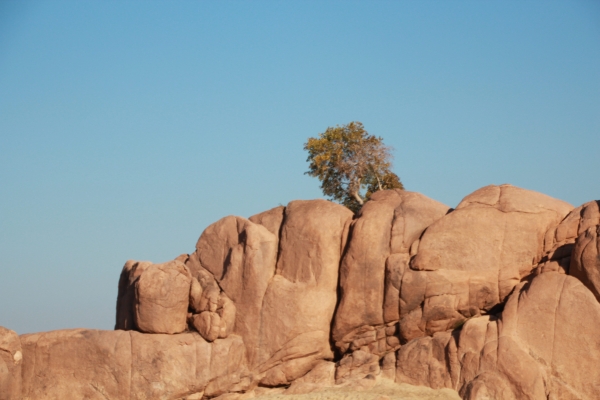 赤峰烏丹榴蓮店電話號碼多少-第1張圖片