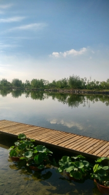 赤峰林東鎮(zhèn)租車(chē)電話多少號(hào)-第1張圖片