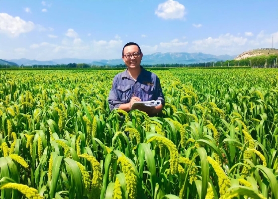 赤峰潮男吊墜店電話號碼-第1張圖片