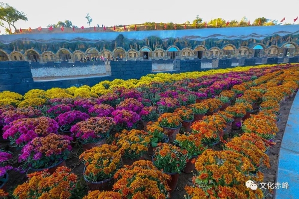 赤峰楊家灣餐廳電話號(hào)碼多少-第1張圖片