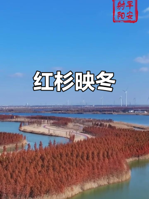 赤峰紅杉樹補(bǔ)課班地址電話號(hào)碼-第1張圖片